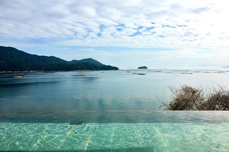 【広島県】マルミエロテン。