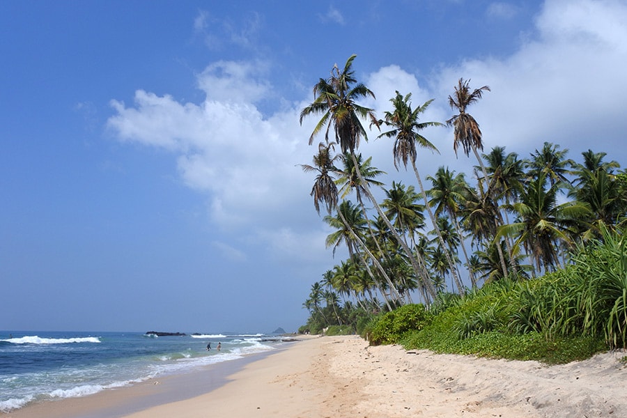 いい波が訪れるスリランカ。サーファーに人気のビーチです。