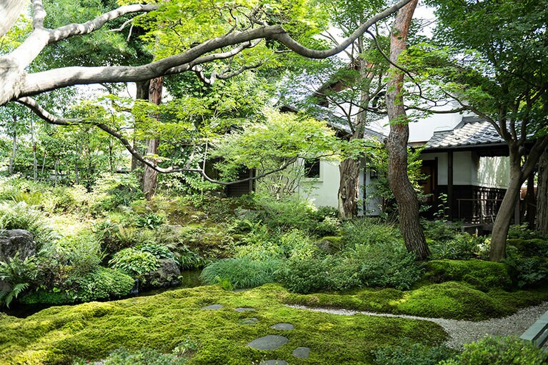 長年培われた美しいコケ庭も。
