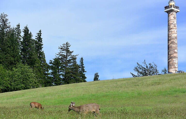 この街の名所のひとつ、アストリアコラム。上ることができ、街を見渡すことができます。