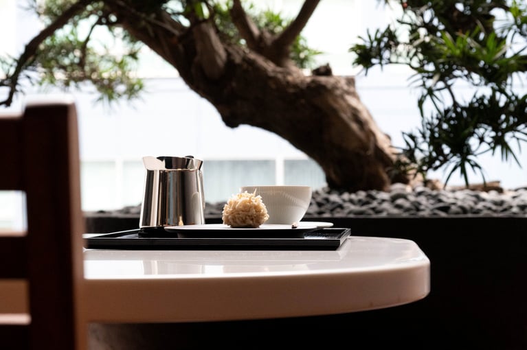 テラスにある、樹齢100年の羅漢槇の前で。