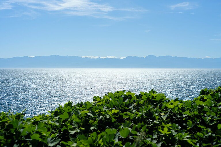能登半島に囲まれているため波が穏やかで透明度が高く、開放的なブルーの色合いを生じさせる。野生のイルカやウミホタルなども見ることができ、ロマンティックな海からのギフトを楽しめるスポットだ。