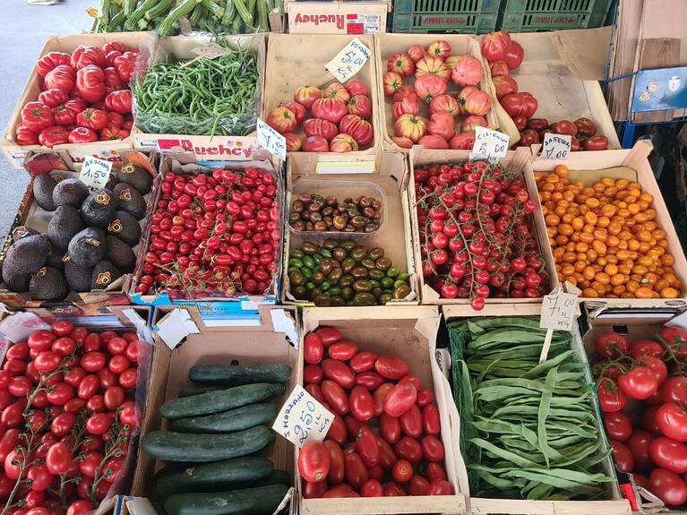 イタリアの市場に並ぶトマト。とにかく種類が多く用途によって使い分ける。