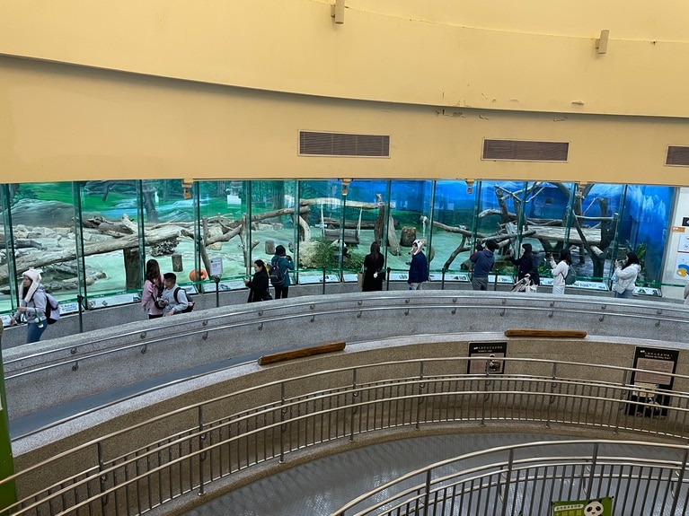 あとのパンダの餌やりは、先に食事を終えたパンダが展示場所に戻ってから開始されるので、一方のパンダの撮影をじゅうぶん楽しんだあとに移動しても間に合います。