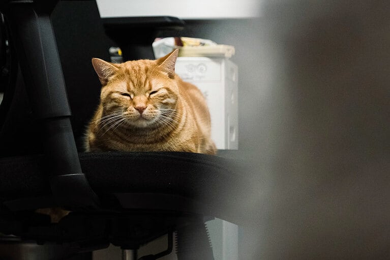 椅子の上で取材の様子を静かに見守る会長。