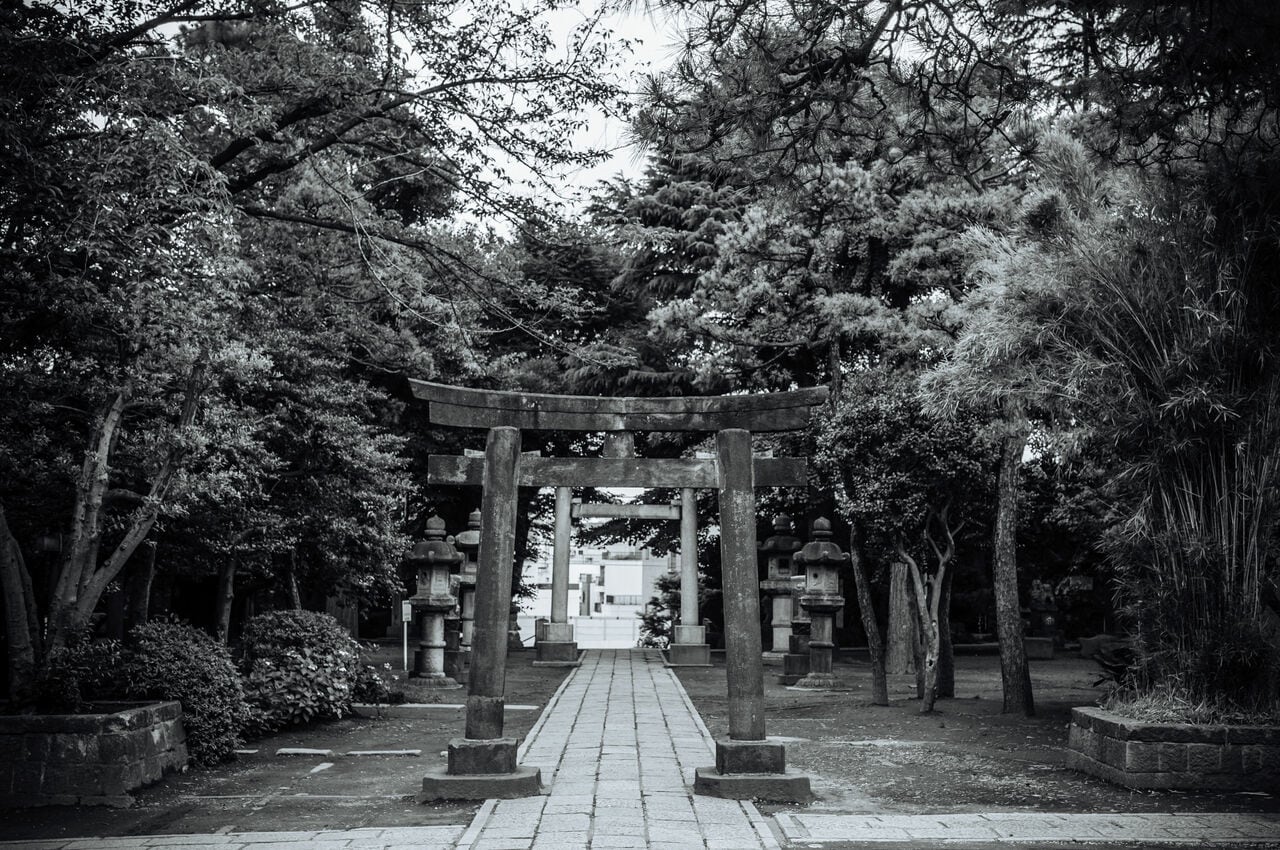 写真はイメージです。提供：アフロ