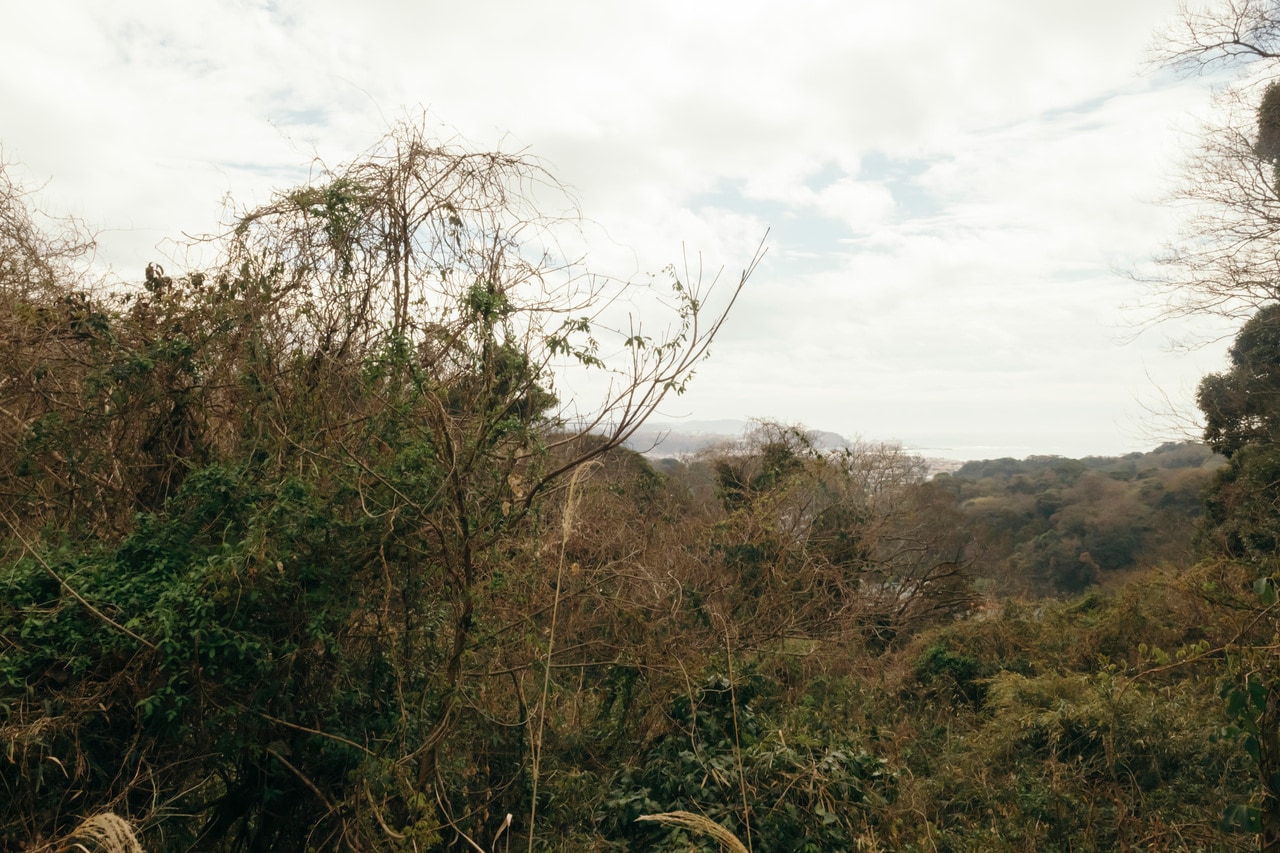 鎌倉の高台から、街を見渡せるスポットで、水分補給がてらひとやすみ。