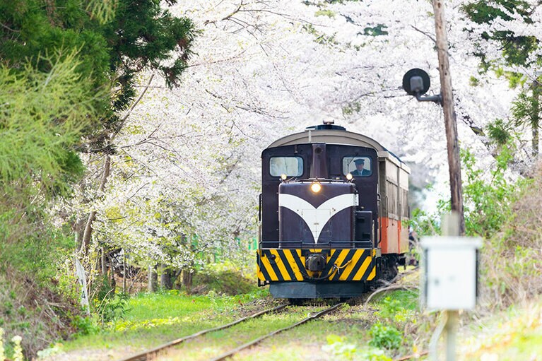 芦野公園の桜。