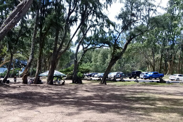 キャンプサイトの駐車場。シャワーやトイレもあります。