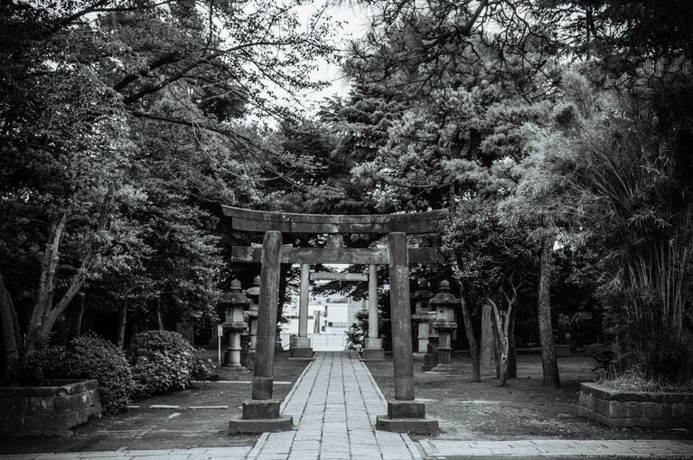 写真はイメージです。提供：アフロ