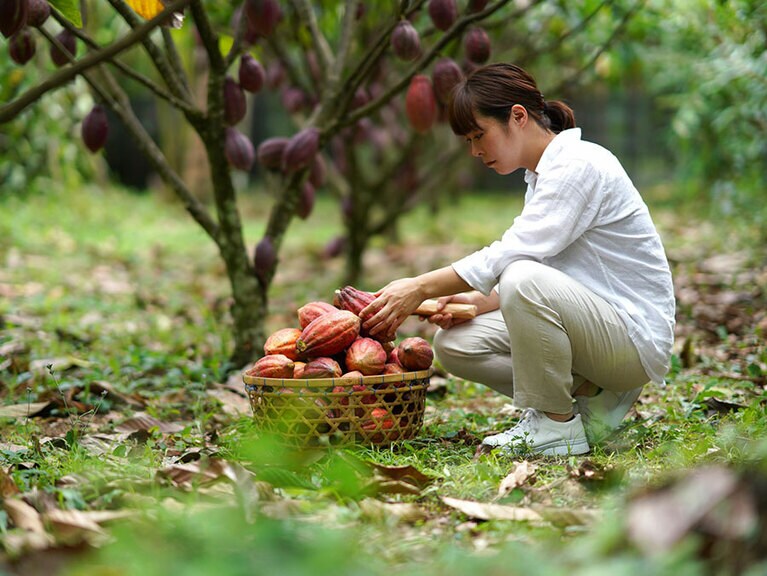 バリの南の地域にあるカカオ農園に足を運び、選びぬいた。