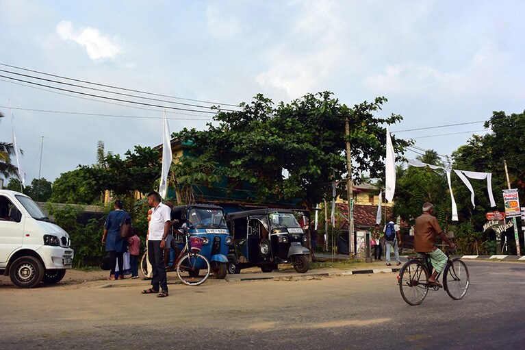 夕暮れ時のウェリガマ近くの風景。