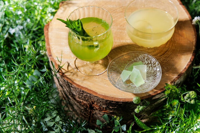 庭師とともに山野草にふれ、可食植物を用いたドリンクや小菓子を味わうことで、より深く自然とふれあい活力を高めることができる。