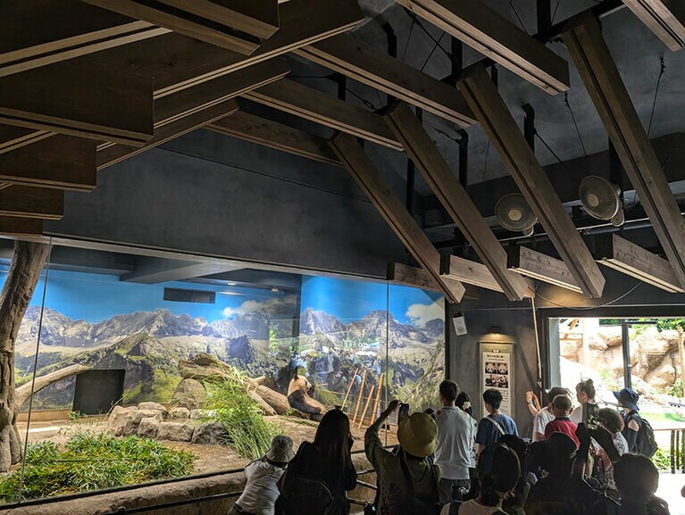 シャオシャオ。双子パンダの観覧エリアでは、並んだ順に作られるグループごとに移動。観覧できるのは1カ所につき約1分間。2024年6月20日（木）。