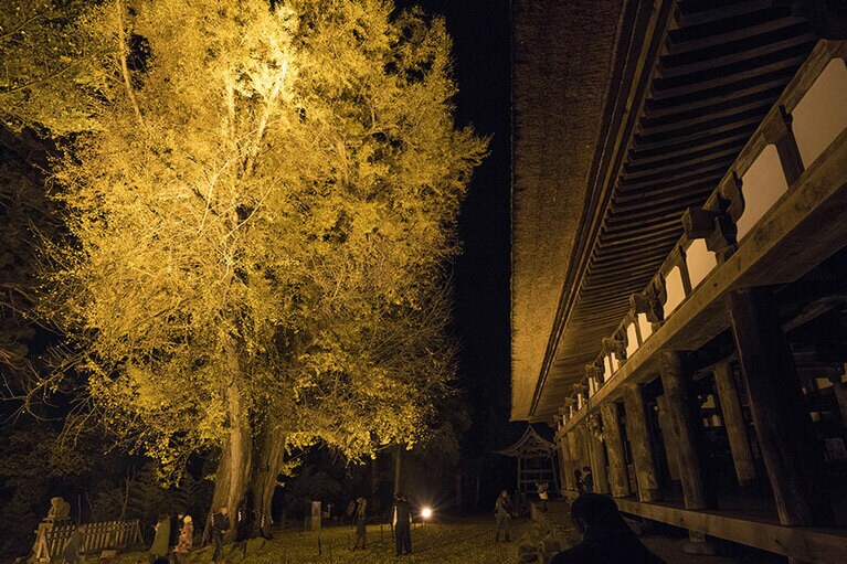 新宮熊野神社 長床／福島県