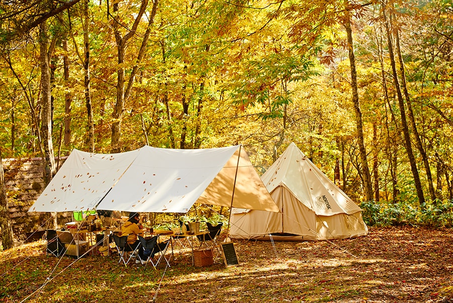 キャンプ場全体に色鮮やかな紅葉が広がる。