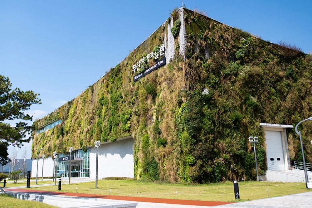 著名な芸術家でもある植物学者、パトリック・ブランの手がけた《垂直庭園》が外壁に息づく釜山現代美術館。