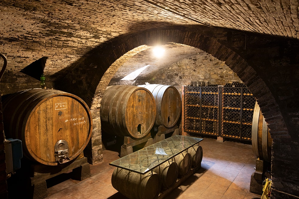 地下のワイン貯蔵室。