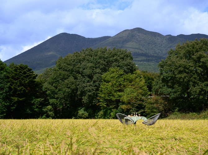 田んぼの原風景に心安らぐ。
