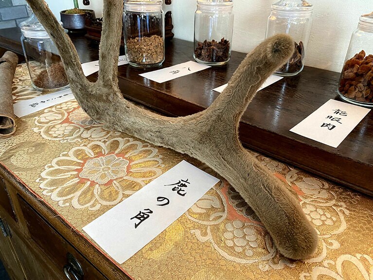 鹿の角は命の根源エネルギーに働きかけ、採り入れることで若々しい毎日に。