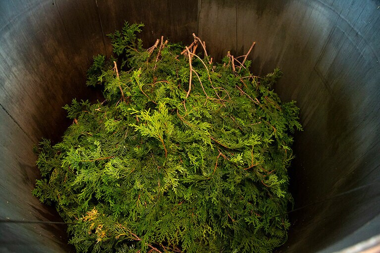 木材として使用する木曽桧を切り出す際、大量の枝葉が切り落とされる。