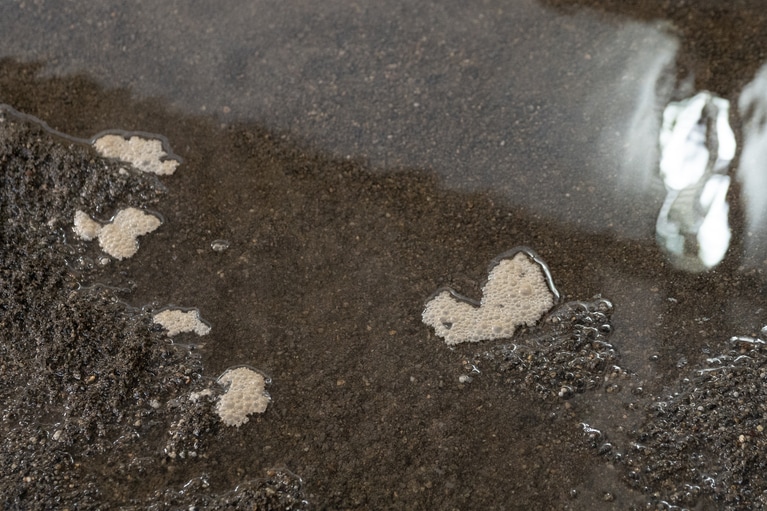 源泉で温められた砂は、約43度に。