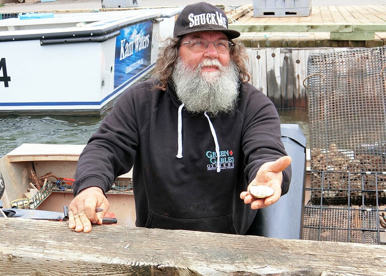 島でおいしい牡蠣が食べられるのは牡蠣漁師のおかげ。