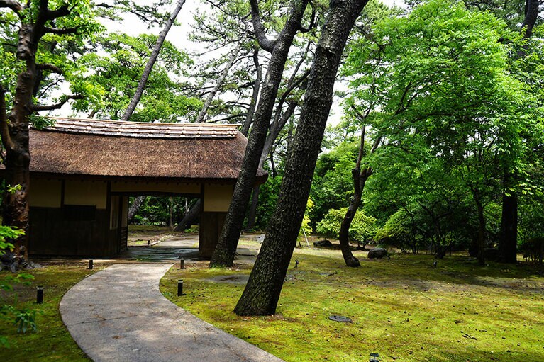 有形文化財の長屋門は、腰に割竹や杉皮、なぐり仕上げの堅板など草庵風の佇まい。
