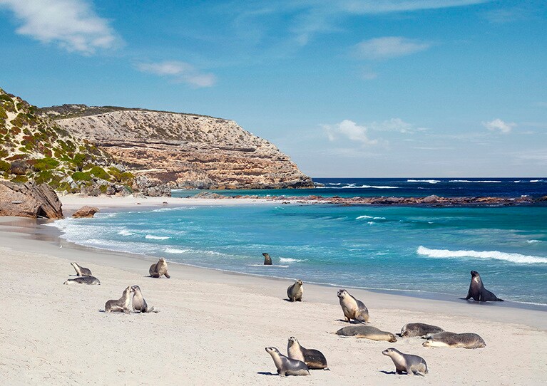 カンガルー島のシール・ベイ自然保護区。photo:South Australian Tourism Commision