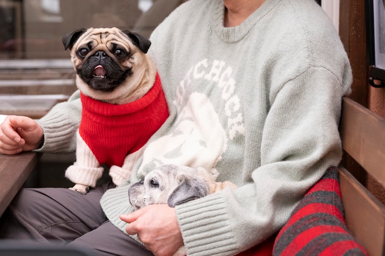 やつい家は今年1月に赤ちゃんが生まれたばかり。