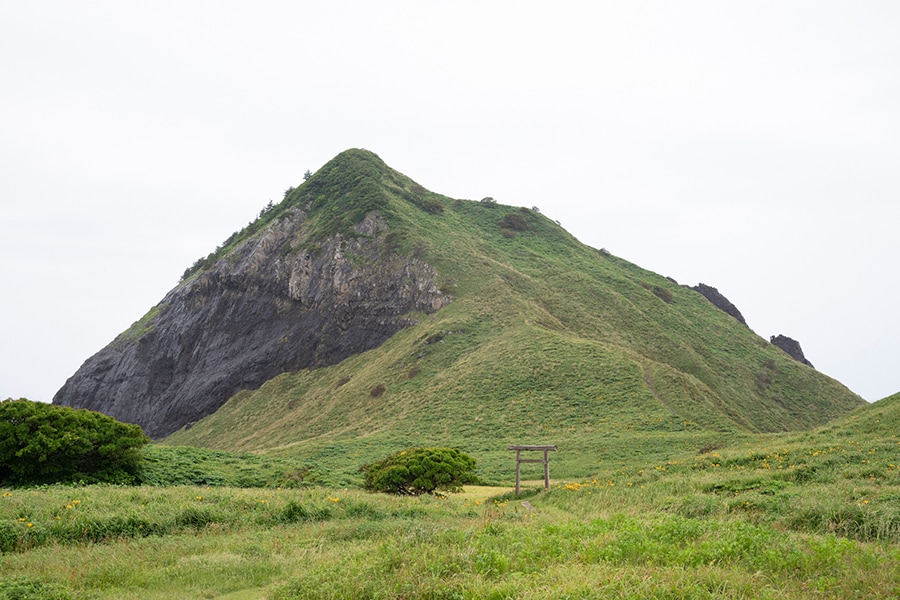 小高い緑の丘のように見えるのが大野亀。じつは佐渡最大の一枚岩で、標高167mの岩壁が海に突き出しています。