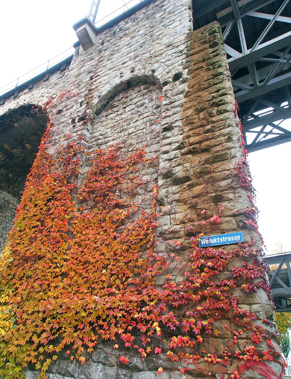 石壁の蔦が紅葉して、秋らしい情緒に溢れます。