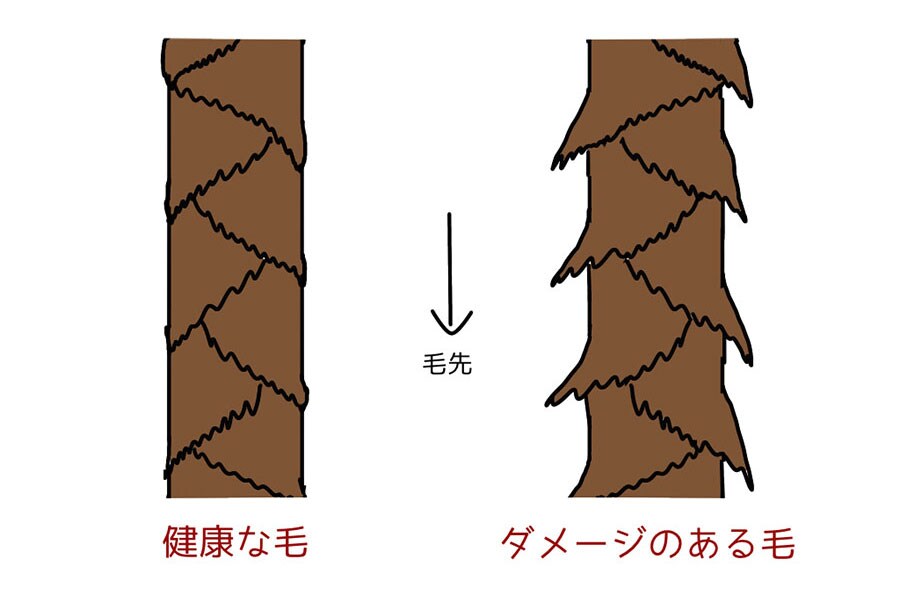 （筆者提供）