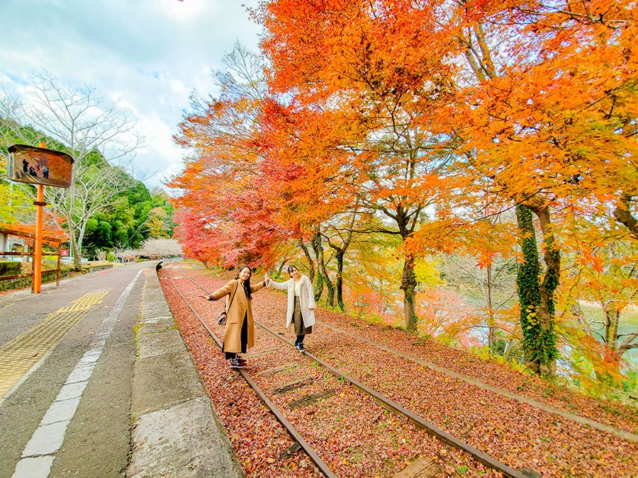 【愛知県】名鉄三河線廃線路。