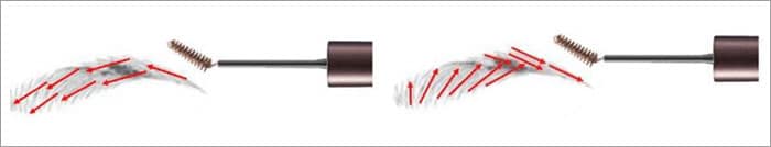 アイブローマスカラは、眉毛の流れに逆らうように塗布してから、眉毛の流れに沿って整える。