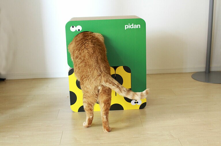 とらぼう ♂ 10歳。我が家は4匹のにゃんこと暮らしており長男のとらぼうは他のにゃんこの面倒を見たりとても優しい性格。ほこりで遊んだり、カツオをあげるとふっと飛ばして遊んだりとちょっと天然さがとっても可愛らしいです。ダンボールのガリガリが好きで今まで使っていたのが古くなっていたので新しいのを購入したらガリガリをしないで急に穴に顔を入れたとらぼう。点検しながら遊び大丈夫だとわかったところで思いっきりガリガリしていました（よっちゃんさん）