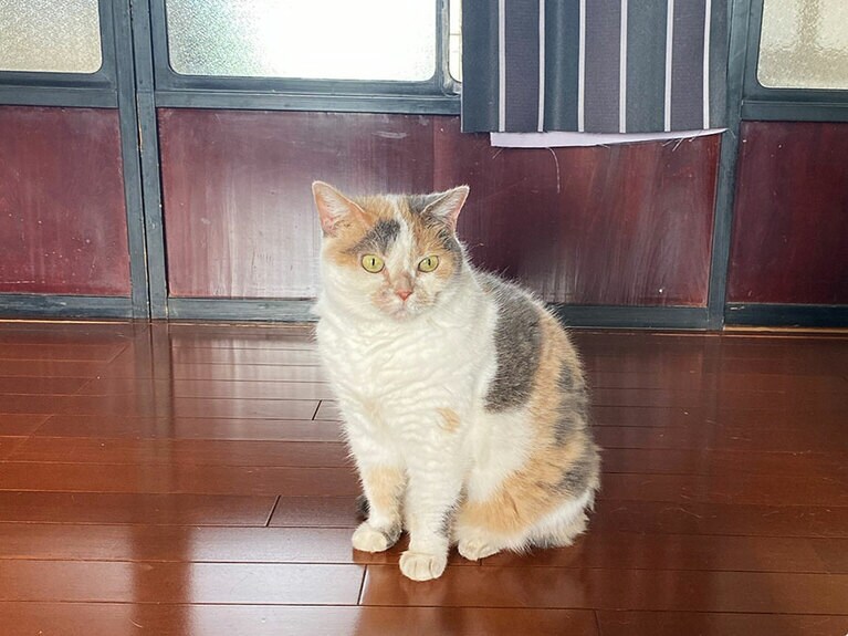 田中さんが北陸まで会いに行った宿の看板。