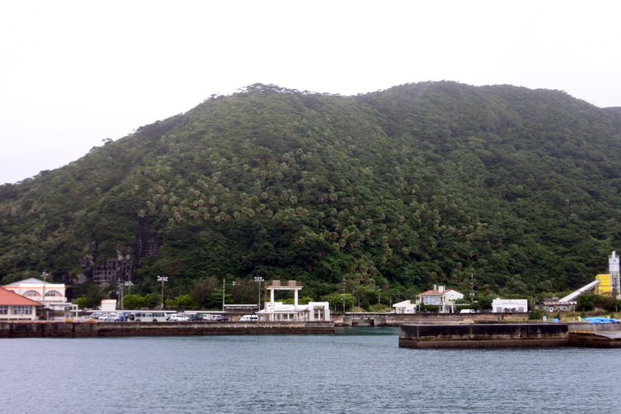 渡嘉敷島の阿波連港。山肌にクバの木が目立っていました。