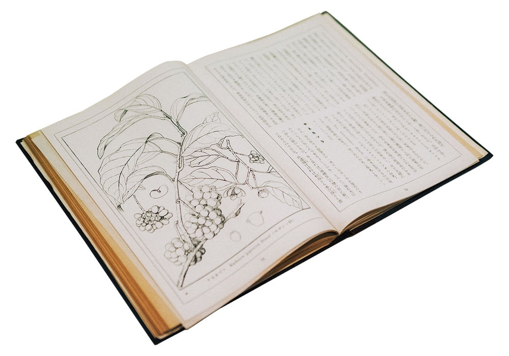 1946年より、植物名の由来など、文化史的な観点で刊行した個人雑誌『牧野植物混混録』。