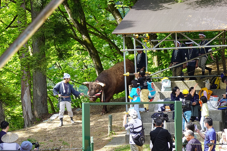 西側から登場する泰斗。元MVPの牛だ。