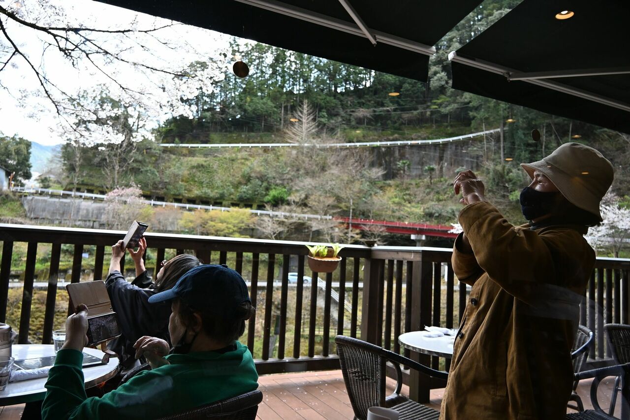 「ゆの森」のレストランのベランダ。食事のついでに、桜の写真を撮る人が多い