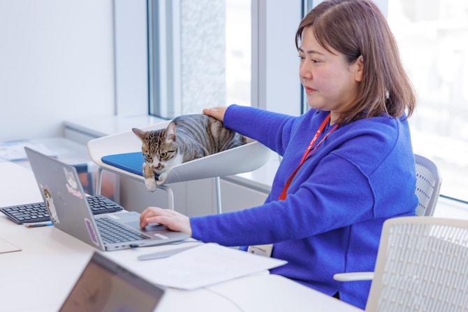 ロイヤルカナン社員・大坂さんの飼い猫で、社会化に成功したドロンパくん（1歳10カ月）は、定期的に「出社」できるように。ドロンパくん自身の性格に助けられた部分も大きく、運もよかったと大坂さんは語る。