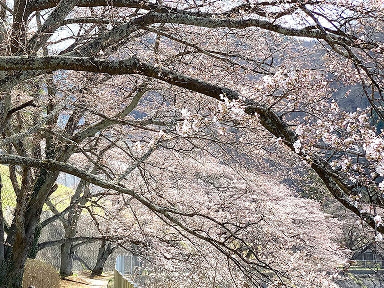 環境の変化から体調を崩す人も多い春。