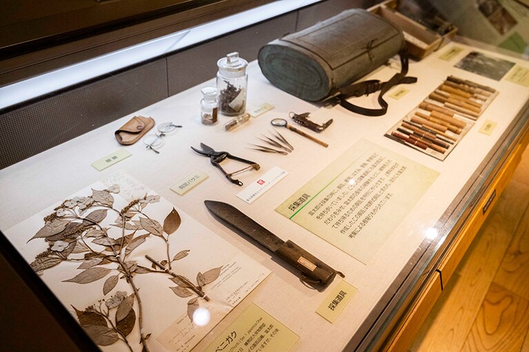 常設展示室には、博士が愛用した植物採集道具がずらり。野山を駆け巡っている博士の姿が目に浮かぶようです。