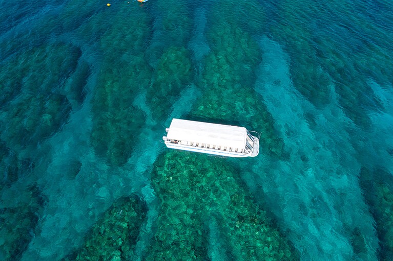 グラスボートで洋上散歩を満契できるフサキクルーズなど、通年体験できるアクティビティも豊富。