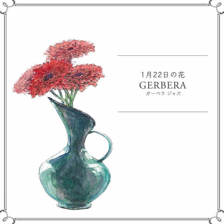 1月22日の花「ガーベラ ジャズ」