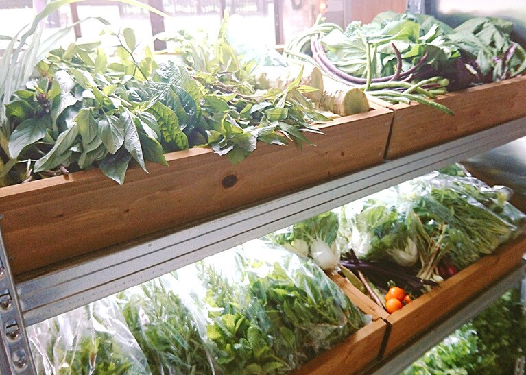 テラマードレのハーブは、店内でも買うことができる。