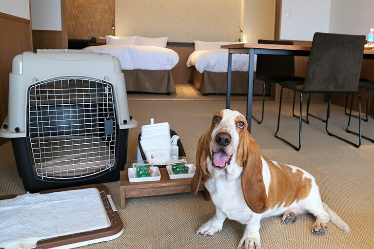 千葉鴨川に先立ち、関西圏初となる「レジーナリゾートびわこ長浜」が、2018年6月に開業。隣接する明治創業の老舗料亭旅館「浜湖月」と業務提携し、部屋食で老舗の料理が味わえる。客室は全室露天温泉風呂で、「浜湖月」の大浴場を利用することも可能。(撮影＝立花奈緒)