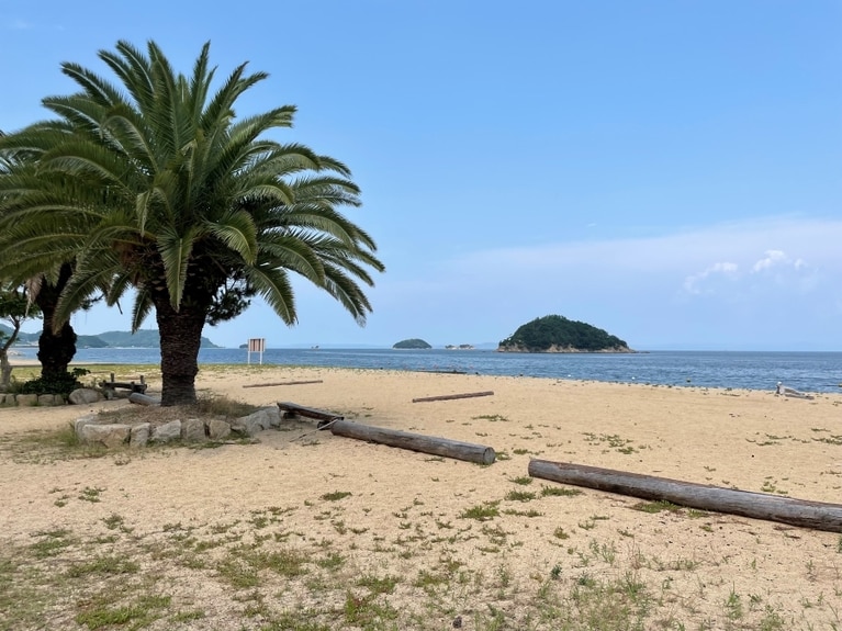 トロピカルな風景も島のあちこちに。
