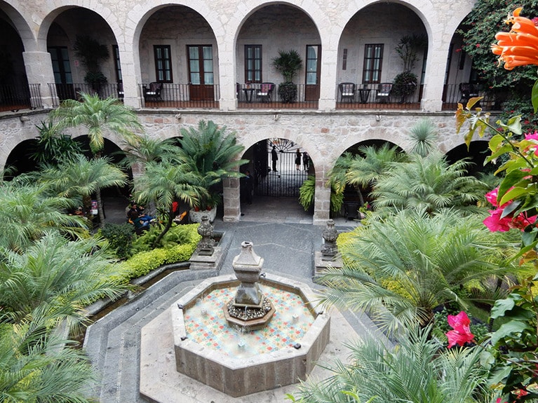 入ってすぐの緑と花が彩る中庭の素敵な雰囲気にうっとり。